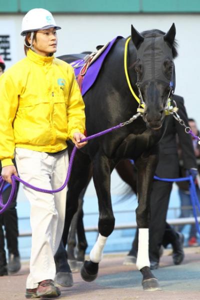 ファイル 308-2.jpg