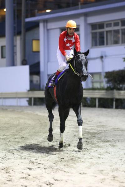 ファイル 309-1.jpg