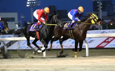 ファイル 309-2.jpg