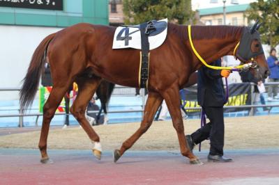 ファイル 310-1.jpg