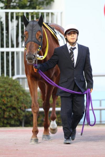 ファイル 310-3.jpg