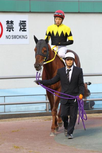 ファイル 311-1.jpg