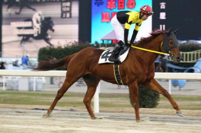 ファイル 311-4.jpg