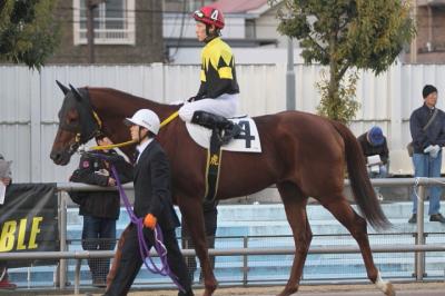 ファイル 312-1.jpg