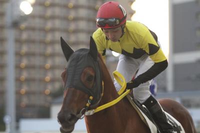 ファイル 312-2.jpg