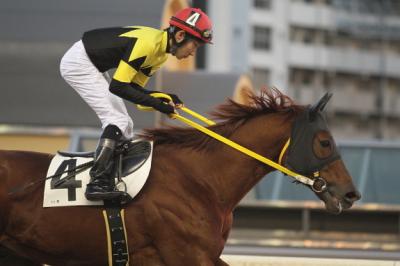 ファイル 312-3.jpg