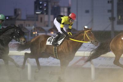 ファイル 312-4.jpg