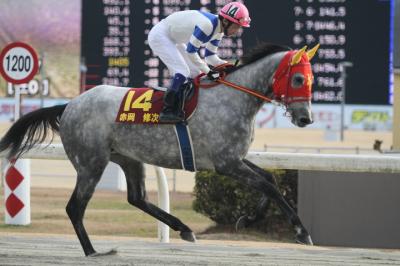 ファイル 317-3.jpg