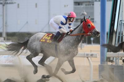 ファイル 317-4.jpg