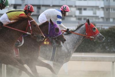 ファイル 317-5.jpg