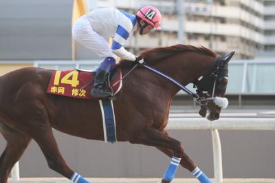 ファイル 318-4.jpg