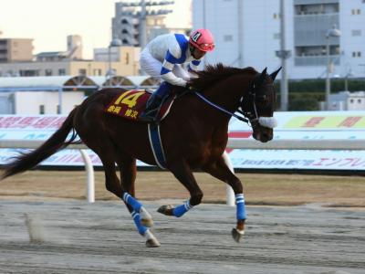 ファイル 321-5.jpg