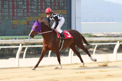 ファイル 330-4.jpg