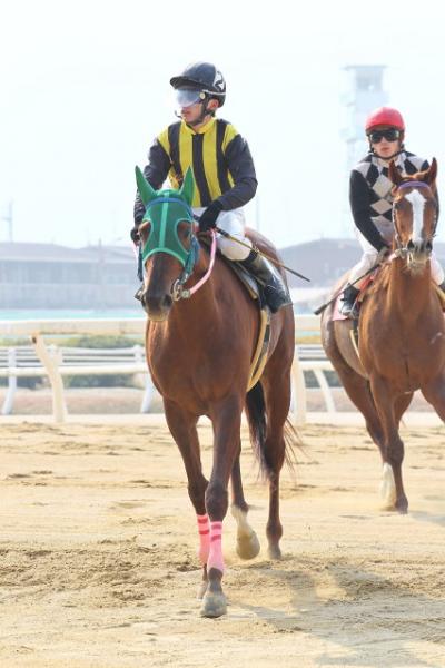 ファイル 331-2.jpg