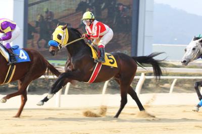 ファイル 331-3.jpg