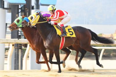 ファイル 331-5.jpg