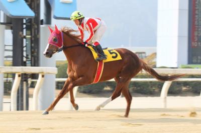 ファイル 332-5.jpg