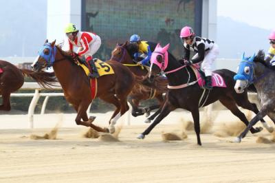 ファイル 333-2.jpg