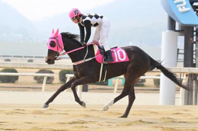 ファイル 333-3.jpg