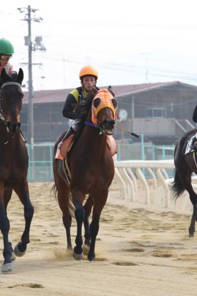 ファイル 334-5.jpg