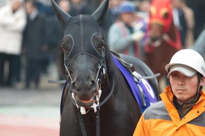 ファイル 335-2.jpg