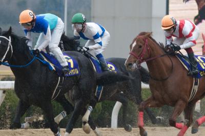 ファイル 335-4.jpg