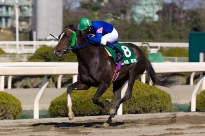 ファイル 338-1.jpg