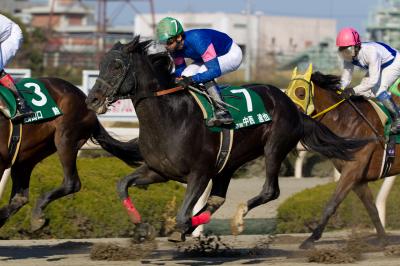 ファイル 339-1.jpg