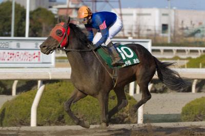 ファイル 339-3.jpg