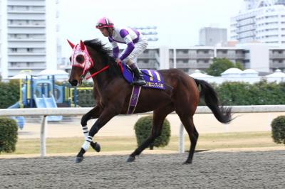 ファイル 340-4.jpg