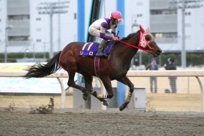 ファイル 341-1.jpg