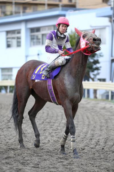 ファイル 341-3.jpg