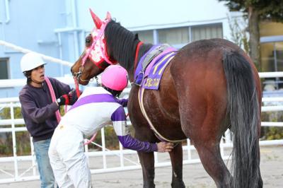 ファイル 341-5.jpg