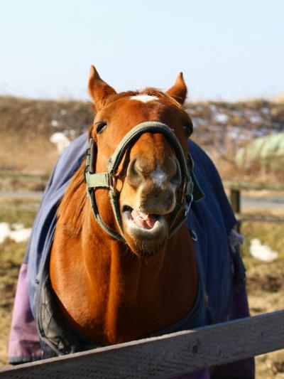 ファイル 342-2.jpg