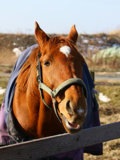 ファイル 342-3.jpg