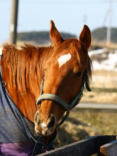 ファイル 342-4.jpg