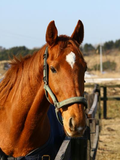 ファイル 342-5.jpg