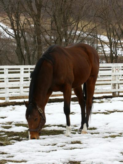 ファイル 343-1.jpg