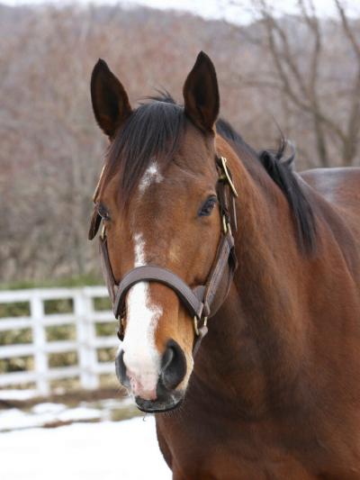 ファイル 343-2.jpg