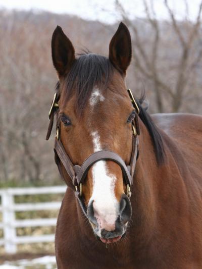 ファイル 343-3.jpg