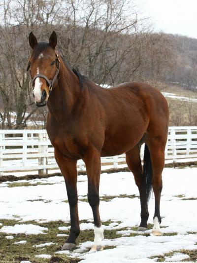 ファイル 343-4.jpg