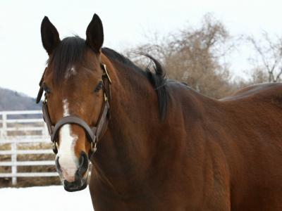 ファイル 343-5.jpg