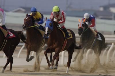 ファイル 344-2.jpg