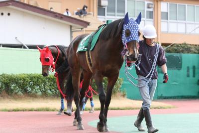 ファイル 345-1.jpg