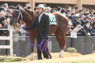 ファイル 345-4.jpg