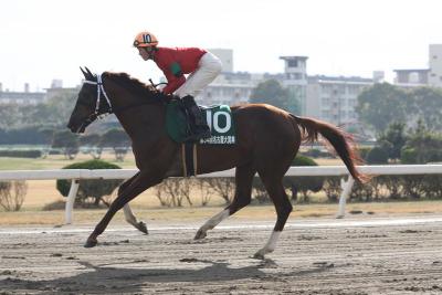 ファイル 346-1.jpg