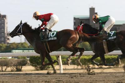 ファイル 346-3.jpg