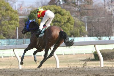 ファイル 346-4.jpg