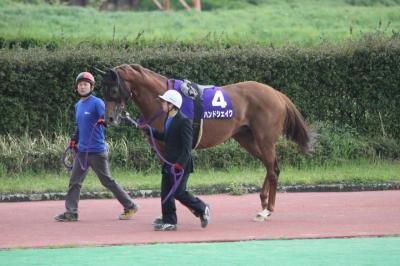 ファイル 348-1.jpg