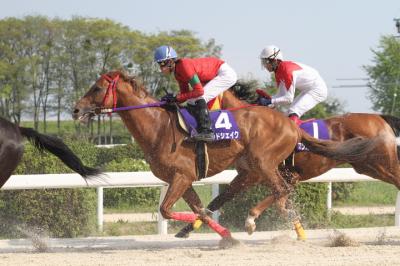 ファイル 349-1.jpg